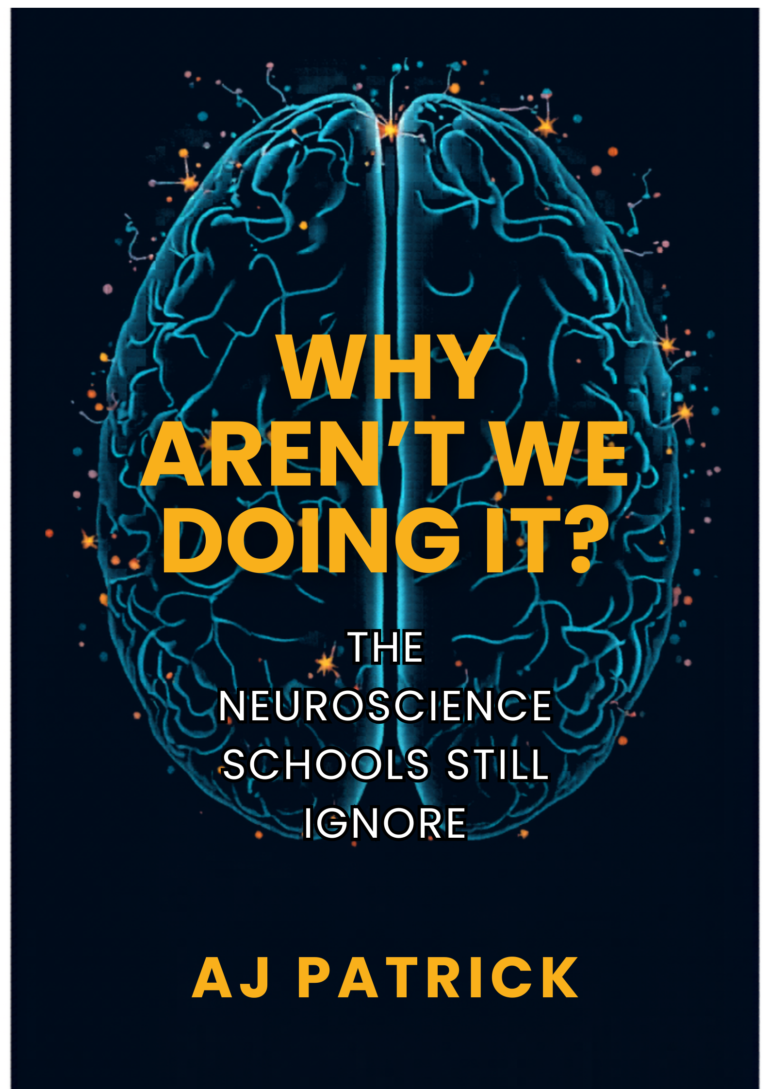 Why Aren't We Doing It? — book cover
